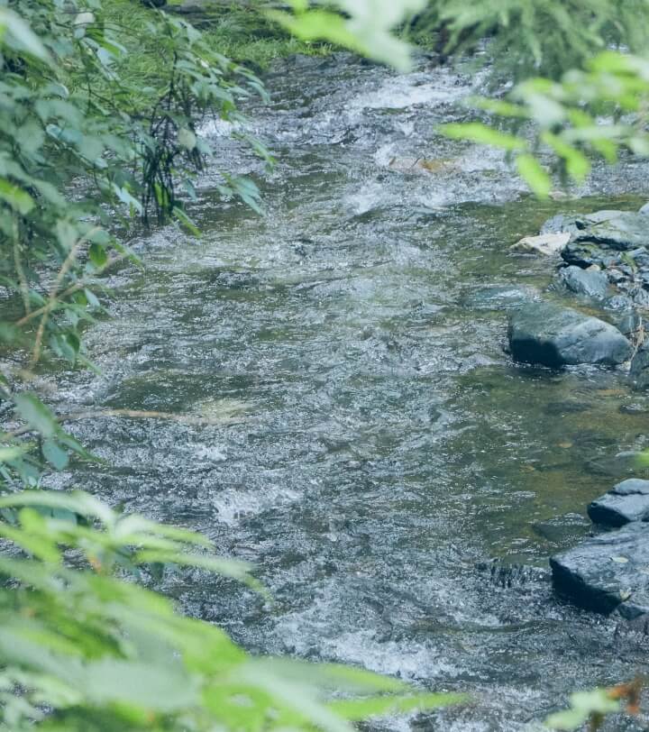 Images of groundwater produced by the rich nature of the Abukuma Plateau