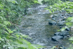 Images of groundwater produced by the rich nature of the Abukuma Plateau